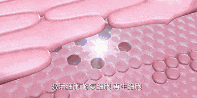 12.gif