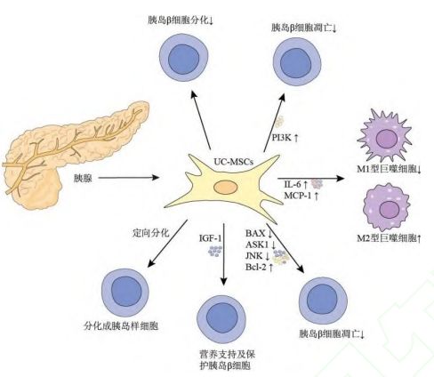 微信截图_20240719163124.png