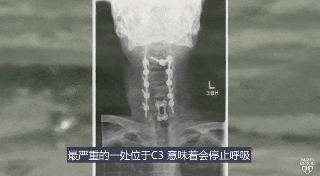 5.gif